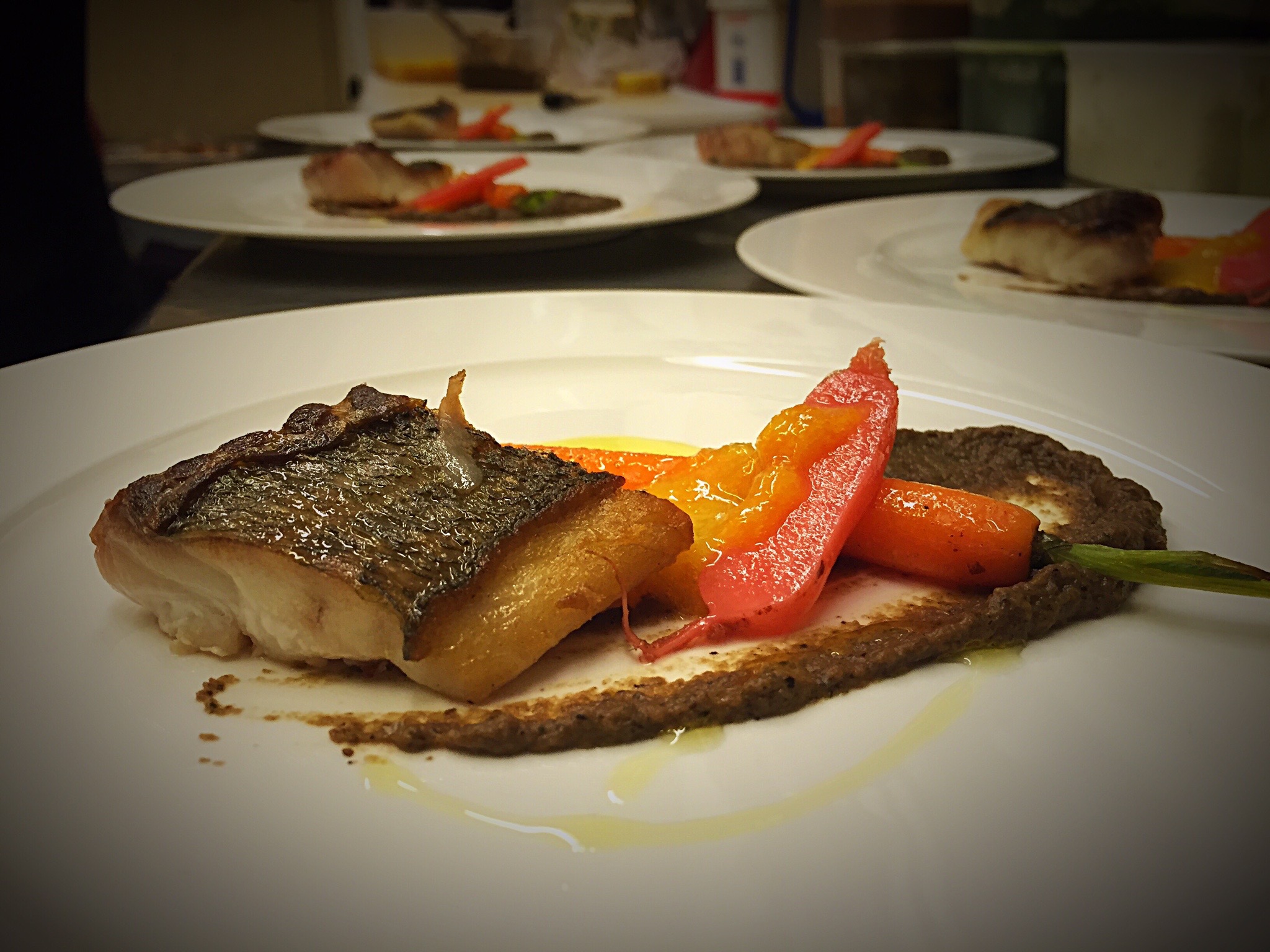 Bar / Aubergine / Kumquat