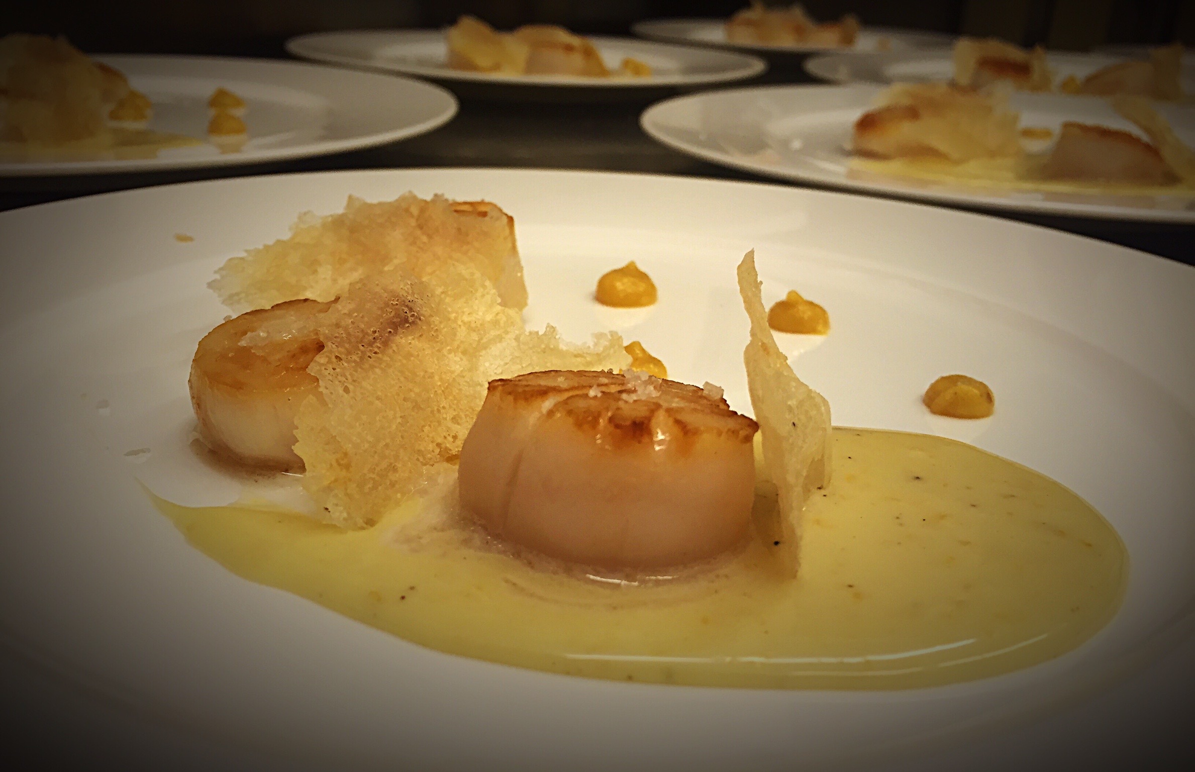 St Jacques / Chocolat Blanc / Agrume