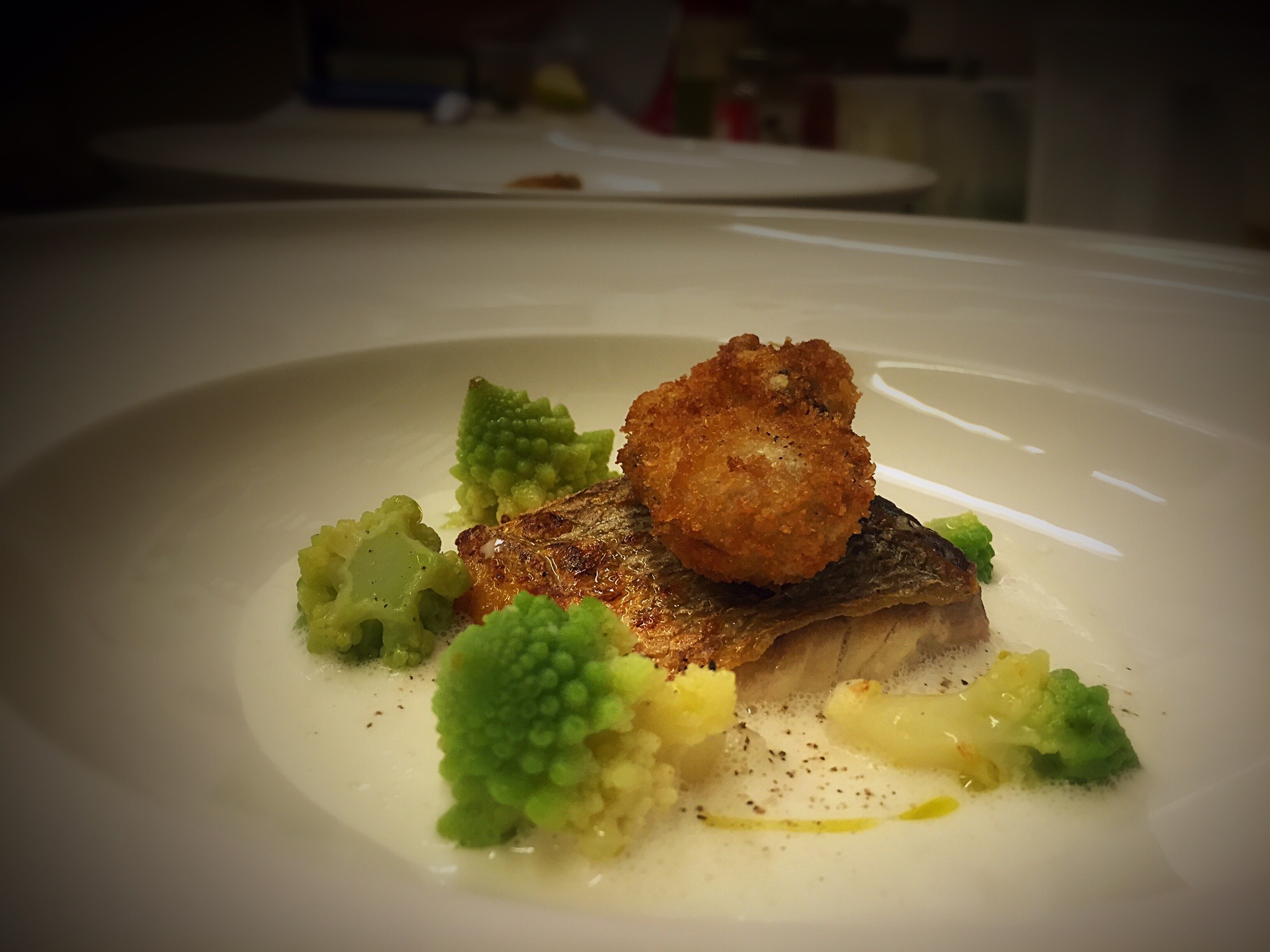 Daurade / Huitre / Choux Romanesco